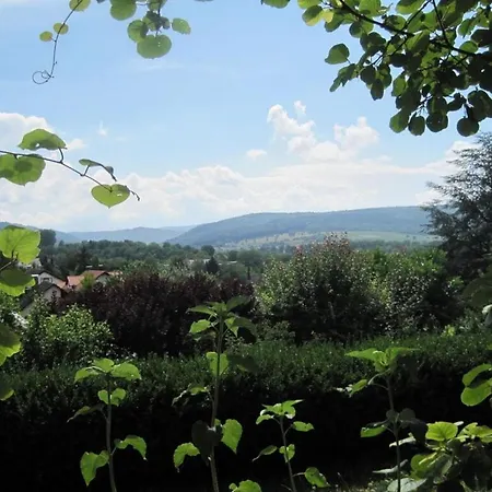 House Schwarzwaldblick Apartment Ettenheim